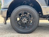 New 2025 Ford F250 XLT w/ Black Appearance Package image 3