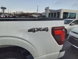 New 2025 Ford F150 STX w/ Equipment Group 200A image 6