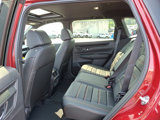 New 2026 Honda CR-V Sport-L image 5