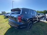 New 2025 Hyundai Palisade Calligraphy image 5