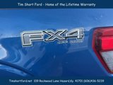 New 2025 Ford F150 XLT w/ Equipment Group 301A Standard image 6