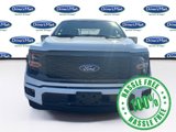 Used 2024 Ford F150 STX w/ Mobile Office Package image 2