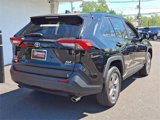 Certified 2025 Toyota RAV4 XLE image 6