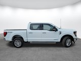 New 2025 Ford F150 XLT w/ Equipment Group 303A High image 4