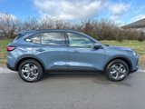 New 2025 Ford Escape ST-Line Elite w/ Tech Pack #1 image 6