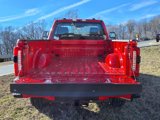 New 2025 Ford F250 XLT image 6