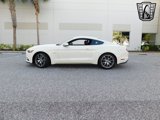 Used 2015 Ford Mustang 50 Years image 5