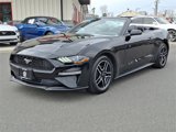 Used 2022 Ford Mustang Premium image 5