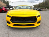 Used 2024 Ford Mustang Convertible w/ Mustang Nite Pony Package image 5