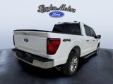 New 2025 Ford F150 XLT w/ Equipment Group 302A MID image 6