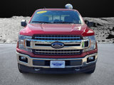 Certified 2019 Ford F150 XLT w/ Equipment Group 302A Luxury image 2
