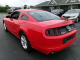 Used 2014 Ford Mustang Coupe image 6