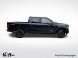 New 2025 Ford F150 XLT image 3