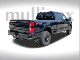 New 2025 Ford F250 Platinum image 3