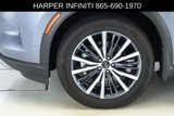 Used 2024 INFINITI QX60 Autograph w/ Cargo Package image 5