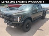 New 2025 Ford F150 Raptor image 4