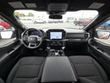 Used 2022 Ford F150 XLT w/ Equipment Group 302A High image 2