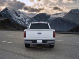 New 2025 Ford F150 XLT w/ Equipment Group 302A MID image 5