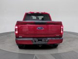 Certified 2022 Ford F150 XLT w/ Equipment Group 301A Mid image 5