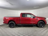 Used 2024 Ford F150 STX w/ STX Black Appearance Package image 5