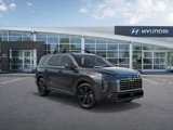 New 2025 Hyundai Palisade XRT image 2