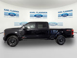 New 2025 Ford F250 Platinum image 5