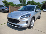 Used 2020 Ford Escape SE image 4