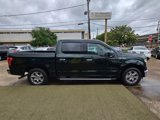Used 2016 Ford F150 XLT w/ Equipment Group 302A Luxury image 6