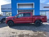 New 2025 Ford F150 XLT w/ Equipment Group 302A MID image 3