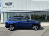 New 2026 Cadillac Vistiq Sport image 2