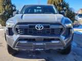 New 2025 Toyota Tacoma TRD Off-Road w/ TRD Off Road Premium Package image 5