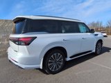 New 2025 INFINITI QX80 Sensory w/ Premium Cargo Package image 4