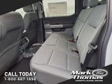 New 2025 Ford F150 XLT w/ Equipment Group 303A High image 6