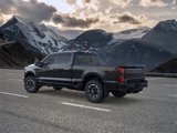 New 2025 Ford F250 Platinum w/ Tremor Off-Road Package image 4