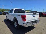 Certified 2022 Ford F150 XLT image 2