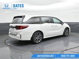 New 2025 Honda Odyssey Touring image 2