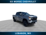 New 2025 Chevrolet Silverado 1500 Custom Trail Boss w/ Dark Appearance Package image 2