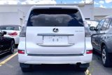 Used 2023 Lexus GX 460 Luxury image 5
