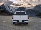 New 2025 Ford F150 XLT w/ Equipment Group 302A MID image 5