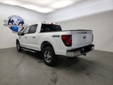 New 2025 Ford F150 XLT w/ Equipment Group 302A MID image 5