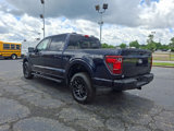 New 2025 Ford F150 XLT w/ Equipment Group 302A MID image 5