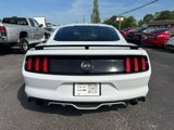 Used 2016 Ford Mustang GT Premium w/ Equipment Group 401A image 4