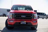 Certified 2023 Ford F150 XLT w/ Equipment Group 302A High image 2
