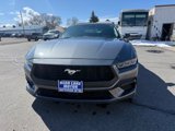 Used 2024 Ford Mustang Premium image 2