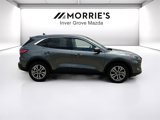 Used 2022 Ford Escape SEL image 4