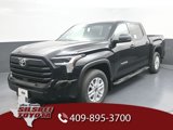 New 2025 Toyota Tundra SR5 image 5