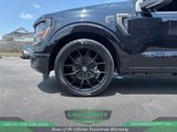 New 2025 Ford F150 STX w/ Equipment Group 200A image 6