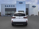 New 2025 Ford Escape ST-Line w/ Tech Pack #1 image 5