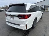 New 2025 Honda Odyssey Elite image 5