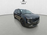 New 2026 Kia Carnival SX image 2